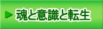 魂と意識と転生