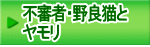 不審者・野良猫と ヤモリ