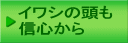 イワシの頭も 信心から