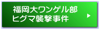 福岡大ワンゲル部 ヒグマ襲撃事件 
