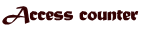 Access counter