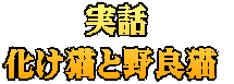 実話 化け猫と野良猫 