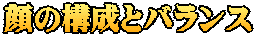 顔の構成とバランス