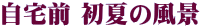 自宅前 初夏の風景