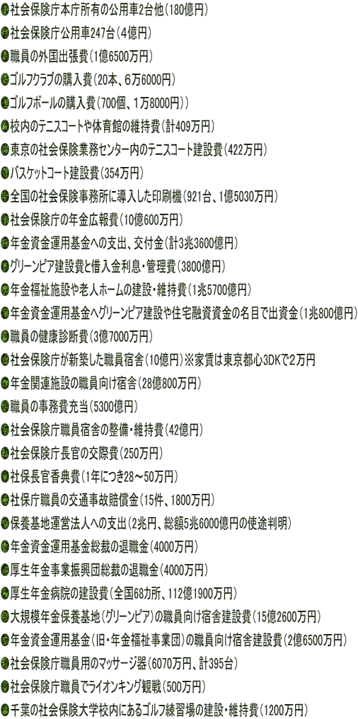 ●社会保険庁本庁所有の公用車2台他(180億円) ●社会保険庁公用車247台(4億円) ●職員の外国出張費(1億6500万円) ●ゴルフクラブの購入費(20本、6万6000円) ●ゴルフボールの購入費(700個、1万8000円)) ●校内のテニスコートや体育館の維持費(計409万円) ●東京の社会保険業務センター内のテニスコート建設費(422万円) ●バスケットコート建設費(354万円) ●全国の社会保険事務所に導入した印刷機(921台、1億5030万円) ●社会保険庁の年金広報費(10億600万円) ●年金資金運用基金への支出、交付金(計3兆3600億円) ●グリーンピア建設費と借入金利息・管理費(3800億円) ●年金福祉施設や老人ホームの建設・維持費(1兆5700億円) ●年金資金運用基金へグリーンピア建設や住宅融資資金の名目で出資金(1兆800億円) ●職員の健康診断費(3億7000万円) ●社会保険庁が新築した職員宿舎(10億円)※家賃は東京都心3DKで2万円 ●年金関連施設の職員向け宿舎(28億800万円) ●職員の事務費充当(5300億円) ●社会保険庁職員宿舎の整備・維持費(42億円) ●社会保険庁長官の交際費(250万円) ●社保長官香典費(1年につき28~50万円) ●社保庁職員の交通事故賠償金(15件、1800万円) ●保養基地運営法人への支出(2兆円、総額5兆6000億円の使途判明) ●年金資金運用基金総裁の退職金(4000万円) ●厚生年金事業振興団総裁の退職金(4000万円) ●厚生年金病院の建設費(全国68カ所、112億1900万円) ●大規模年金保養基地(グリーンピア)の職員向け宿舎建設費(15億2600万円) ●年金資金運用基金(旧・年金福祉事業団)の職員向け宿舎建設費(2億6500万円) ●社会保険庁職員用のマッサージ器(6070万円、計395台) ●社会保険庁職員でライオンキング観戦(500万円) ●千葉の社会保険大学校内にあるゴルフ練習場の建設・維持費(1200万円)