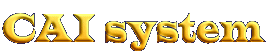 CAI system
