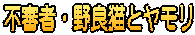 不審者・野良猫とヤモリ