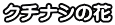 クチナシの花