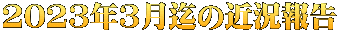 2023年3月迄の近況報告 