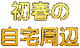 初春の 自宅周辺