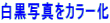 白黒写真をカラー化
