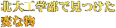 北大工学部で見つけた 変な物