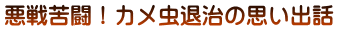 悪戦苦闘!カメ虫退治の思い出話